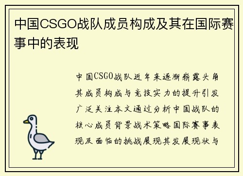 中国CSGO战队成员构成及其在国际赛事中的表现